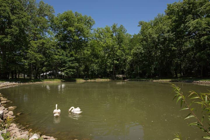 Lake
